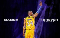 悟空体育-火箭的未来之路，韦德与杰伦-格林的成长挑战