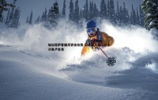 悟空体育-加拉塔萨雷展开转会攻势 记者深入探询恰尔汗奥卢处境